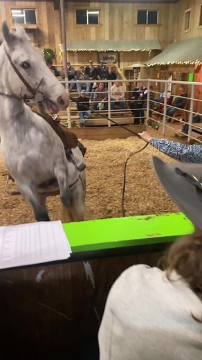 Look good, feel good? 😂 #horseauction #texas #auctioneer #greyhorseproblems #cowboy