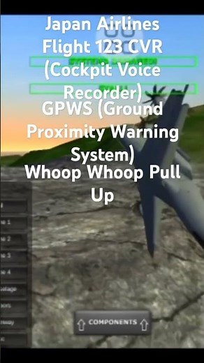 Japan Airlines Flight 123 CVR (Cockpit Voice Recorder) In Turboprop Flight Simulator #YouTube