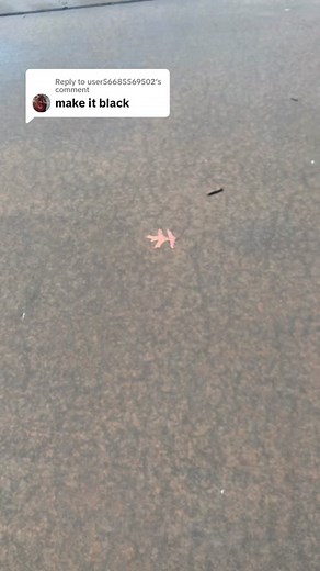 Merry Christmas! Unboxing the New Black Python Revolver Toy