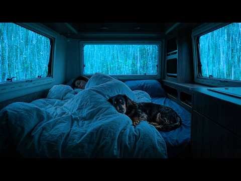 Rain Sounds for Sleeping ⚡ Rain on Your Car Roof Late at Night with Soft Thunder for Better Sleep