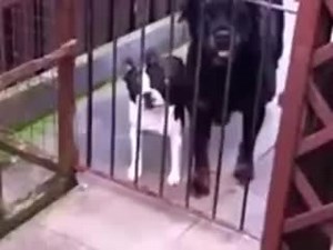 11K views · 66 reactions | Funny! | Weekly Deals | Facebook