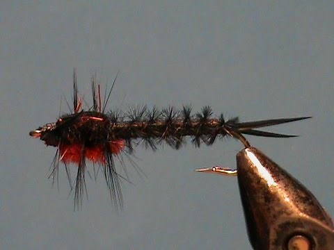 Fly Tying a Helgramite with Jim Misiura