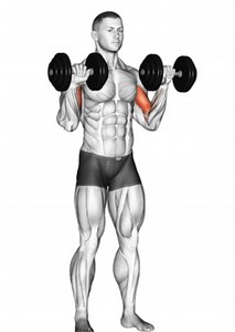 Dumbbell Zottman Curl: A Complete Guide | How To Train Your Biceps!