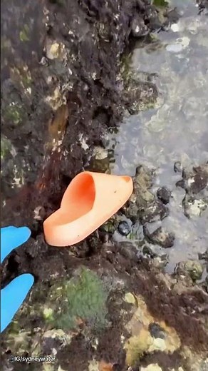 Drake's slide 'found by Sydney Water'