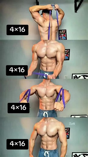 4×16 Chest & Dumbbell Exercises for Muscle Sculpting