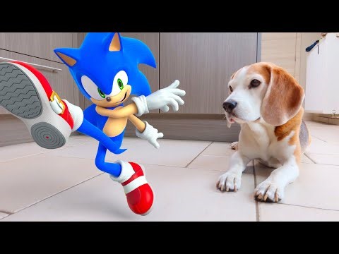 Sonic Comes to Life: A Real-Life Animation Adventure