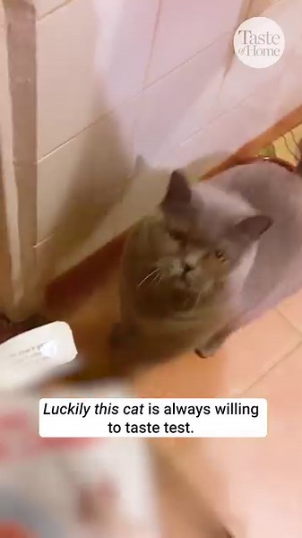9.5K views · 30 reactions | Smart kitty 凉 | Taste of Home | Facebook