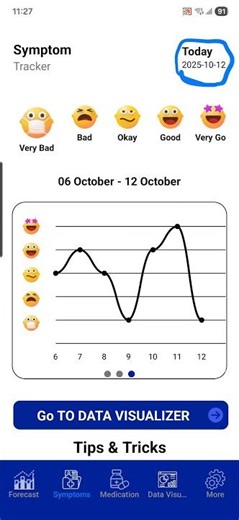 Allergy Sufferers Tutorial Video Symptom Tracker