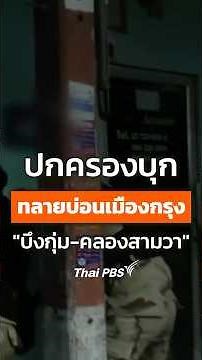 ปกครองบุกทลายบ่อนเมืองกรุง "บึงกุ่ม-คลองสามวา" | #ThaiPBS #shortsThaiPBS #shorts