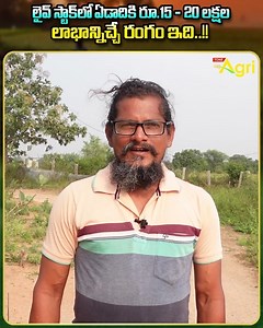 459K views · 3K reactions | Seema Pandula Pempakam. Yorkshire Pig,...