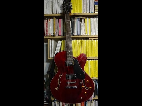 Carlo Robelli 335 Guitar Jamming