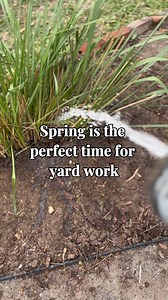It's the perfect time of year to work in the yard. 🔆 🌼 🌺 With the increased volume of yard waste🍃, following the Yard Waste Guidelines 🌴 will help avoid collection delays. 🌳 Learn More: https://bit.ly/4lApX7b #MySJCFL #YardWasteGuidelines | St. Johns County