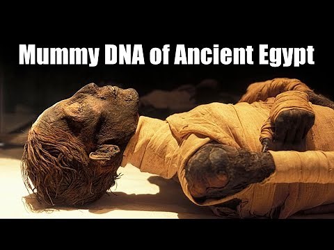 Mummy DNA of Ancient Egypt - ROBERT SEPEHR