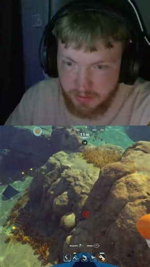 Glitch with the Air Bladder! Subnautica 2 GLITCH