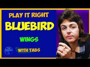 How to Play “Bluebird” by Paul McCartney | Hidden Gem of Band on the Run