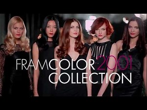 FRAMCOLOR 2001 COLOR COLLECTION