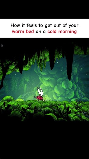 cold night and warm bed best combo😭 Hollow Knight Silksong