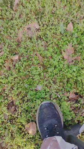 Good start to the morning !