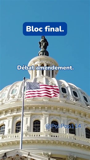 Comprendre le pouvoir législatif en quelques secondes. #politique #education #fyp #pourtoi #shorts