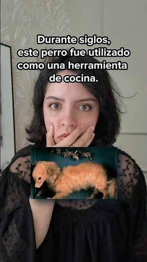 Durante siglos, este perro cocinó la comida de la gente #historia
