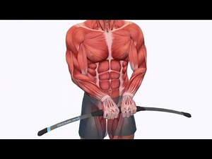 Bodyblade Total Results Fitness Program w/DVD, Chart & Guide on QVC