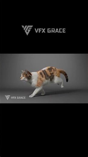 Realistic Cat Walk Cycle – 3D Animation Test #3d #animal #blender #cgi #realistic #maya #vfx