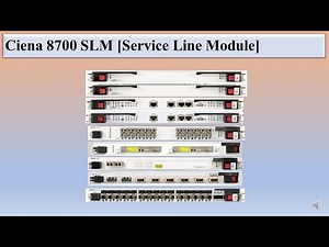 Ciena SLM [Service Line Module] . [PSLM (PSLM-680-8, PSLM-400-31, PSLM-200-20, PSLM-200-2) and CSLM]
