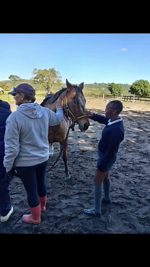 #Horse Riding Lessons.