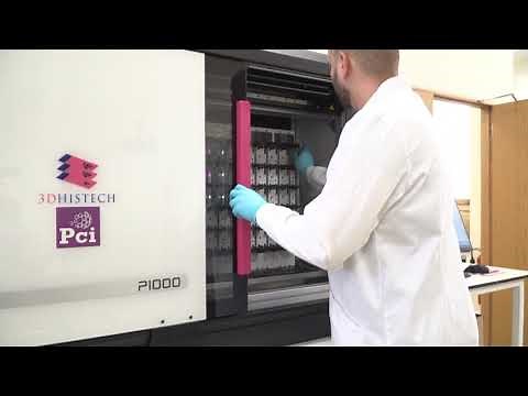 3D HISTECH P1000 in routine use.