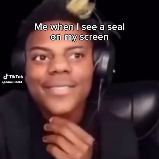 Adorable Seal Compilation | Aww So Cute