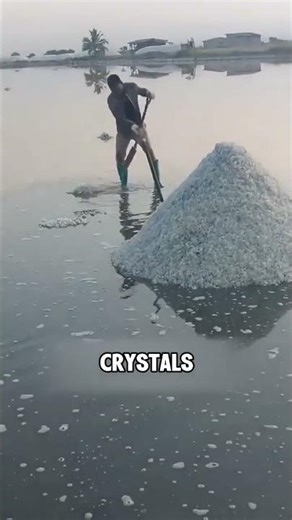 Traditional Salt Harvesting in Ghana 🇬🇭