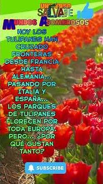 “El misterio de los tulipanes”