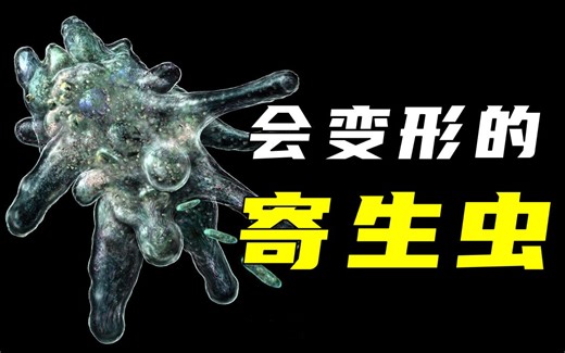 肠道中的“伪装者”，致死排名第三的寄生虫