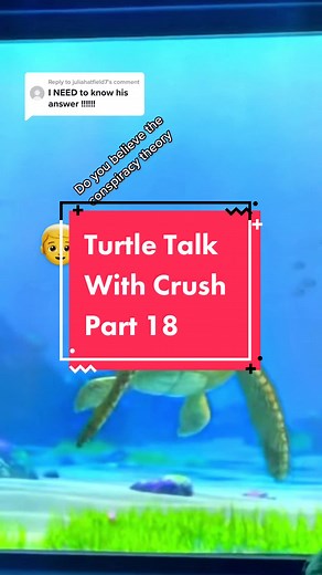 Crush Confirms Moana Theory in Turtle Talk!