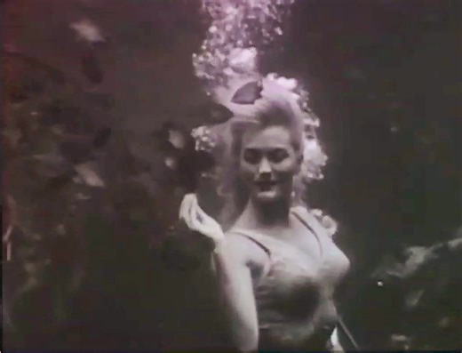 14 reactions | Who Else Still LOVES WEEKI WACHEE Springs Mermaid...