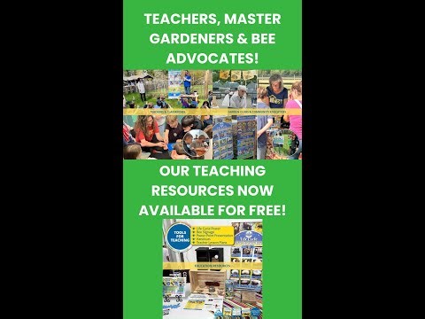 NEW! Mason Bee Education Resources & Kits Now Available! Teach Bees! #rentmasonbees