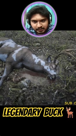 Legendary Buck Location 🦌 RDR2 (Exact Map + Easy Hunt Guide!) #rdr2 #legendary #bucks #hunting