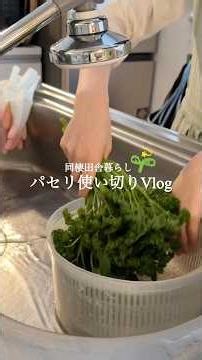 【パセリ好きへ🌿】 使い切れないかった日