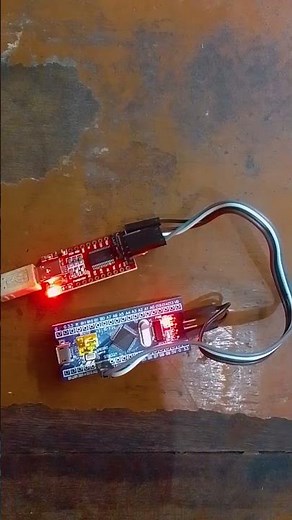 How to Program the STM32(Blue Pill) #stm32 #blink #led #programming #howto