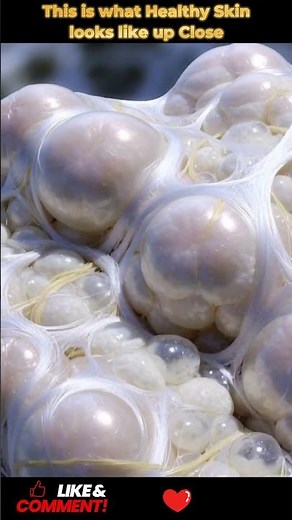 Skin and Beauty at the Microscopic Level | Health Science Explained | 09