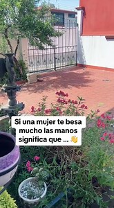 Si una mujer te besa mucho las manos significa que… | Hermanos Pancardo