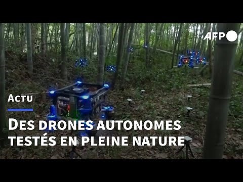 Des essaims de drones autonomes testés avec succès en pleine nature | AFP