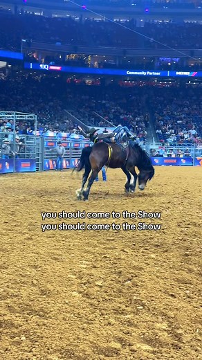 Experience the Excitement of Rodeo Houston 2026