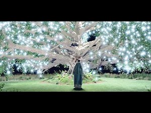 "Tree of Life" Song with American Sign Language