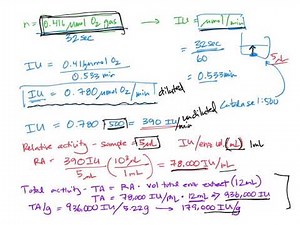 Catalase activity calcs for BIOL307!
