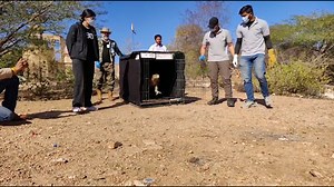 800 reactions · 4 comments | | A sight to behold | An Eastern...