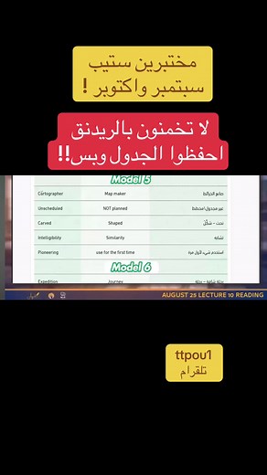 أفضل دورة للستيب 2025 مع عايد