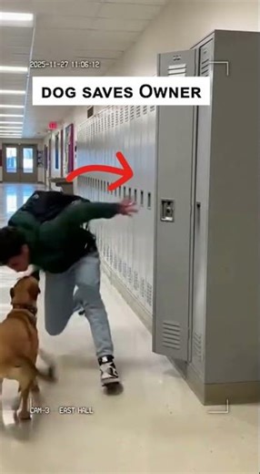 Fearless Dog Saves a Boy Just in Time! #HeroDog #DogPower