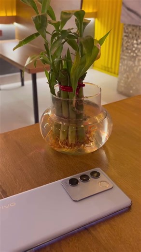 Join my team Link in my bio💕⛳️🔥 #forex #forextrader #forexsignals #signals #marketing #marketingstrategy #marketingagency #forexlifestyle #forextrading #forexlife #market #stockmarket #linkinbio #marketingdigital #crpto #crptocurrency #trading #tradingsetup #tradingstrategy #trader #traderlifestyle #traderlife #fourwaysfarmersmarket #marketupdate #forexschool #crptolifestyle #crptomoney