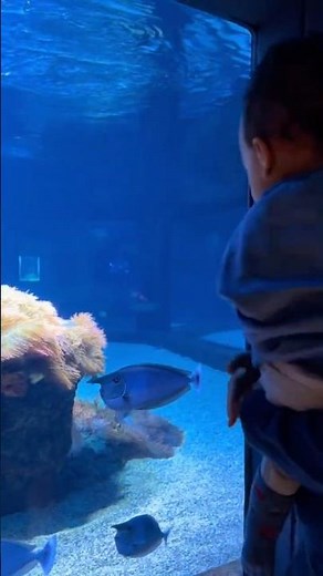 First Aquarium Trip With My Baby 🐠✨ #baby #babyboy #aquarium #cute #momlife #motherhood